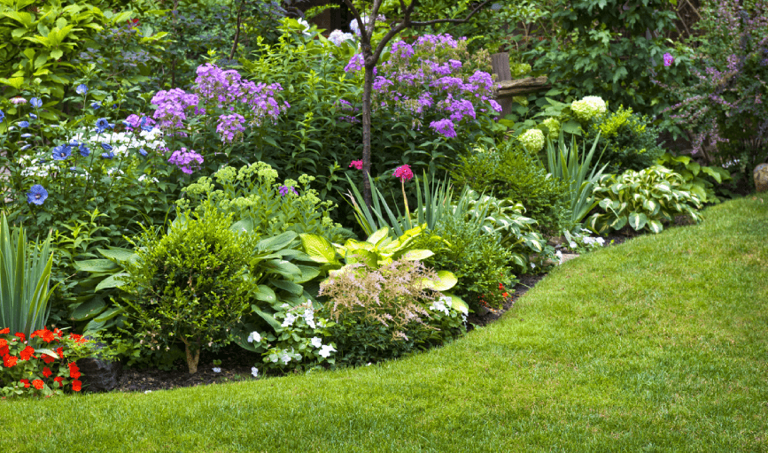 Ochoa Landscaping