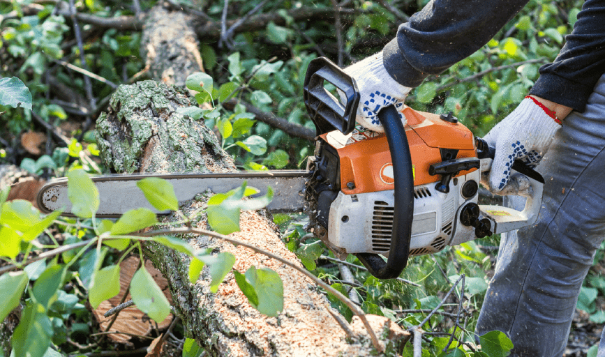 Ochoa Landscaping